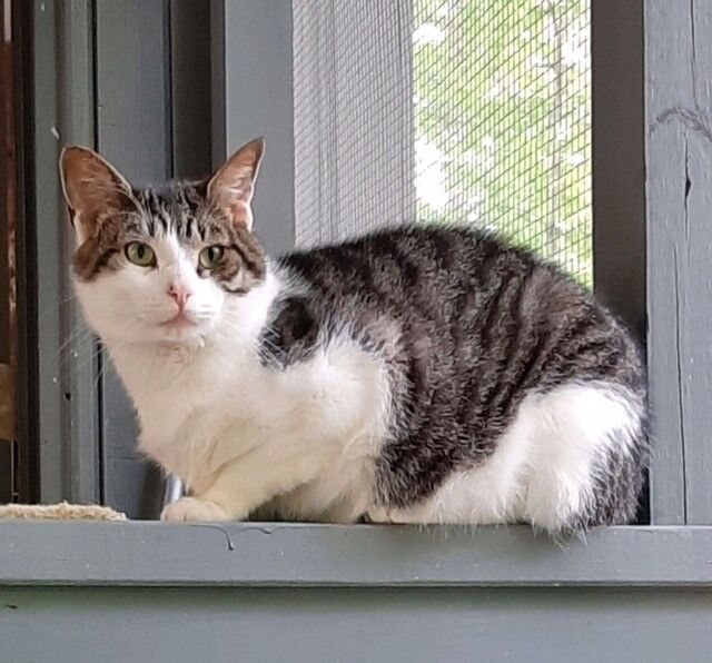 Jesse on patio